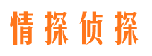 朗县市侦探公司